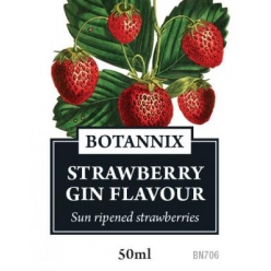 Botannix Strawberry Gin 50ml